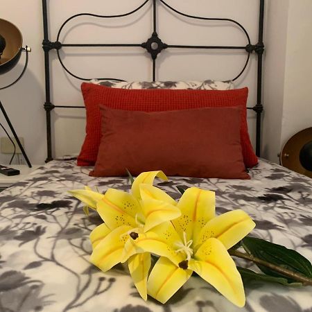 dream central plaza Apartment Santa Cruz de Tenerife Exterior foto